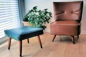 Мебель из искусственной кожи