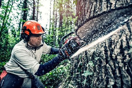 пилоостанавливающие ткани 