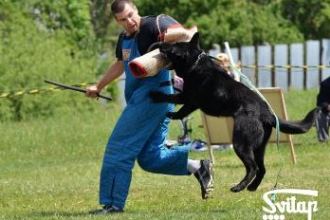 ткани для костюмов К9 330х220.jpg