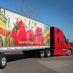 ПВХ ткани длв еврофур 