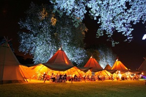 Эластичные тентовые ткани Sioen