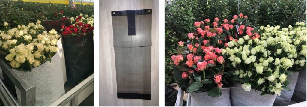 сетка для роз