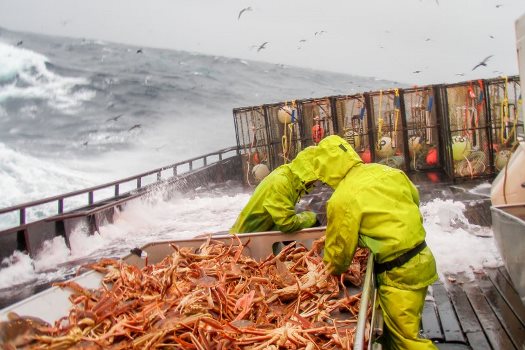 Водонепроницаемые ткани для костюмов рыбаков