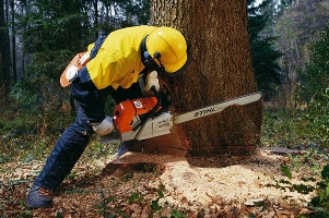 пилостойкие ткани