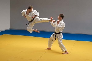 ПВХ ткани для татами 