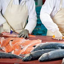 Влагостойкие фартуки из ПВХ ткани